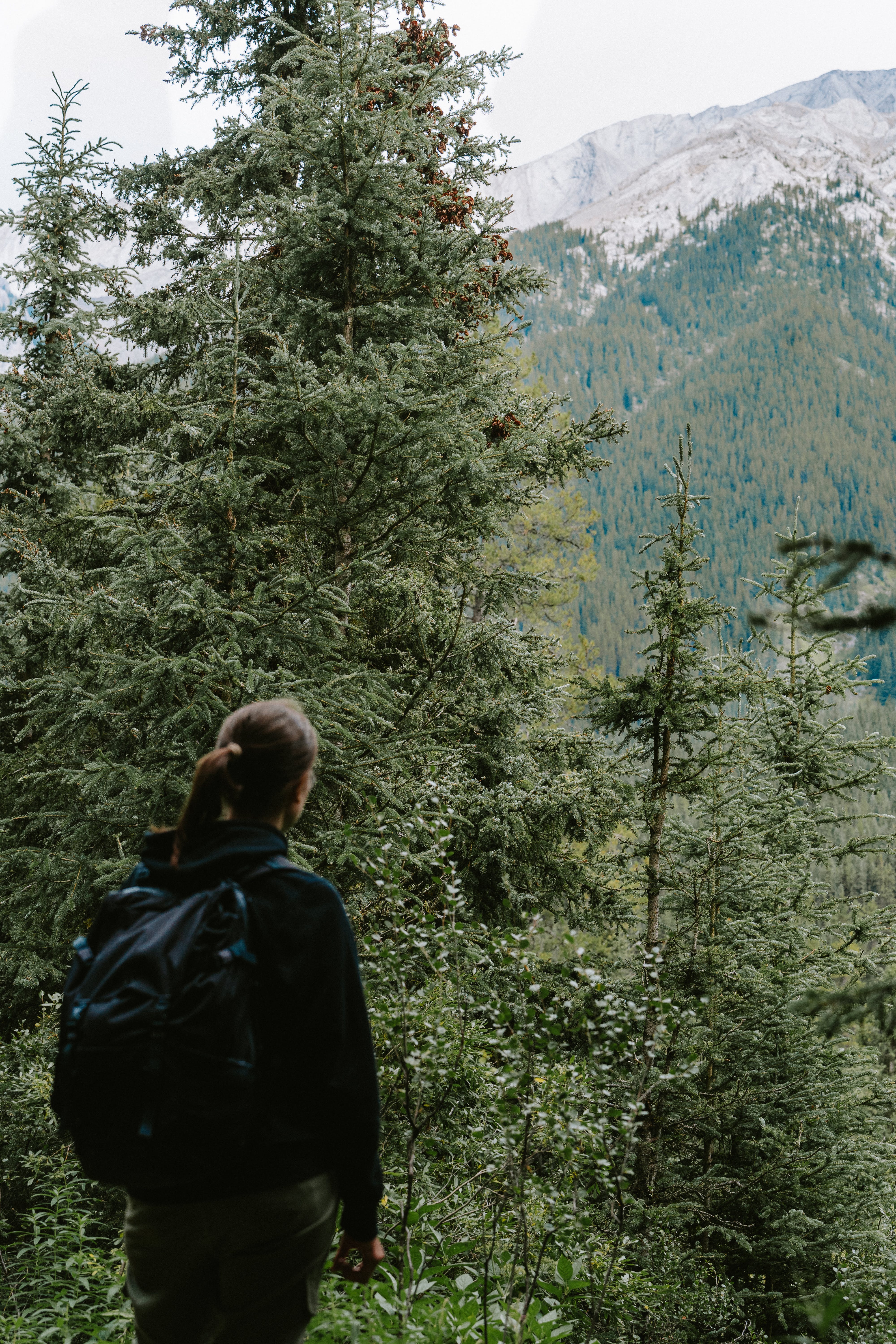 Hells Canyon National Recreation Area